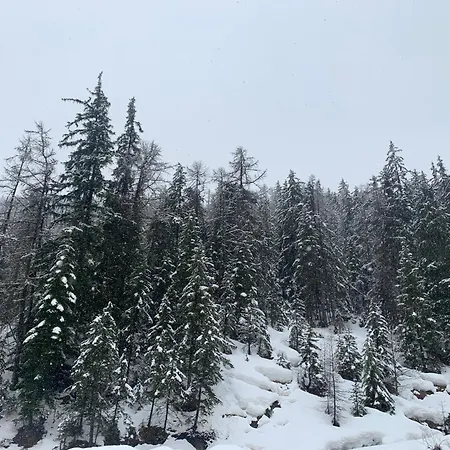 דירה Terrasse Sud Vue Montagnes Pra Loup 1500