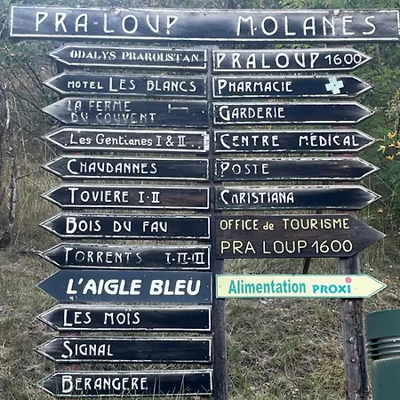 דירה Terrasse Sud Vue Montagnes Pra Loup 1500 La Maure